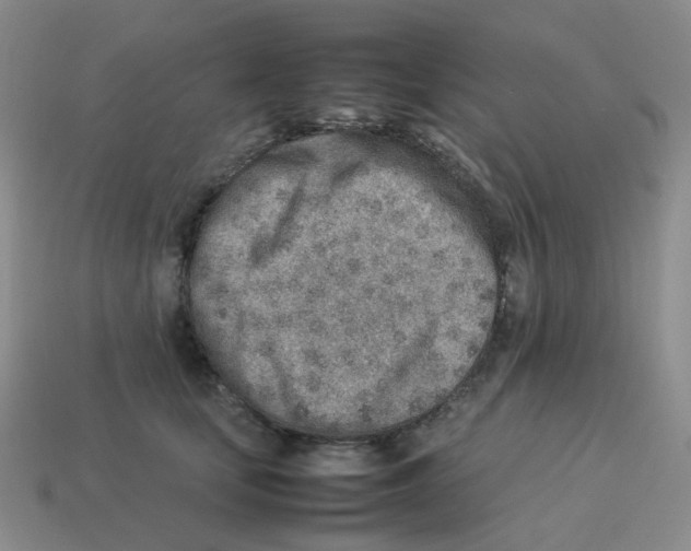 X0000114220659200911061508