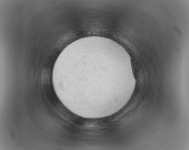 X0000114220661200911061508