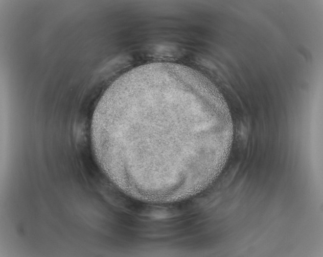 X0000114220663200911061508