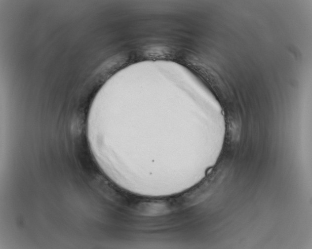 X0000114220665200911061508