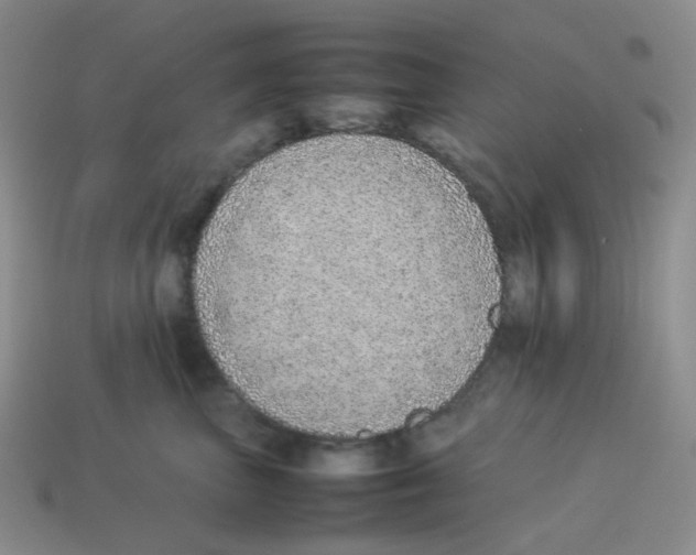 X0000114220667200911061508