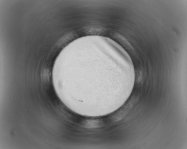 X0000114220669200911061508