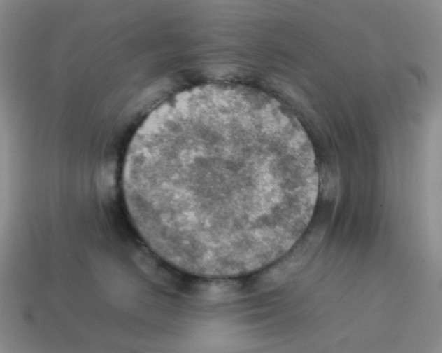 X0000114220670200911061508