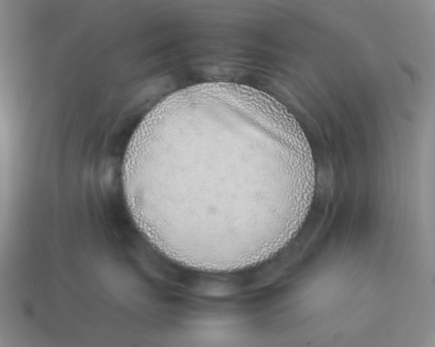 X0000114220671200911061508