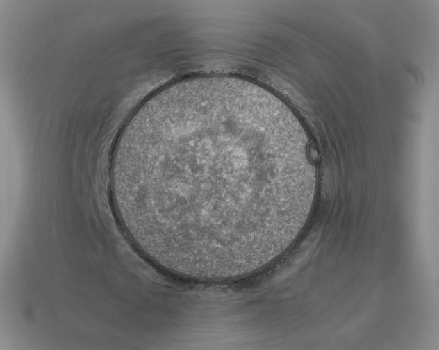 X0000114220673200911061507