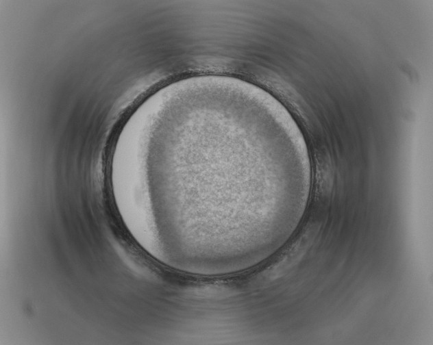 X0000114220674200911061507