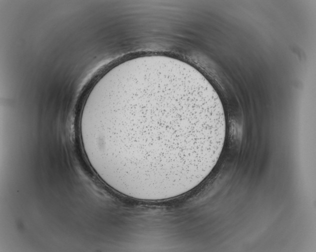 X0000114220676200911061507