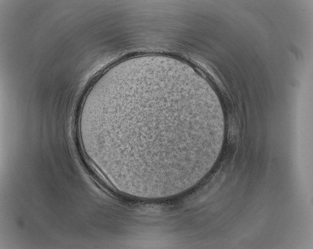 X0000114220677200911061507