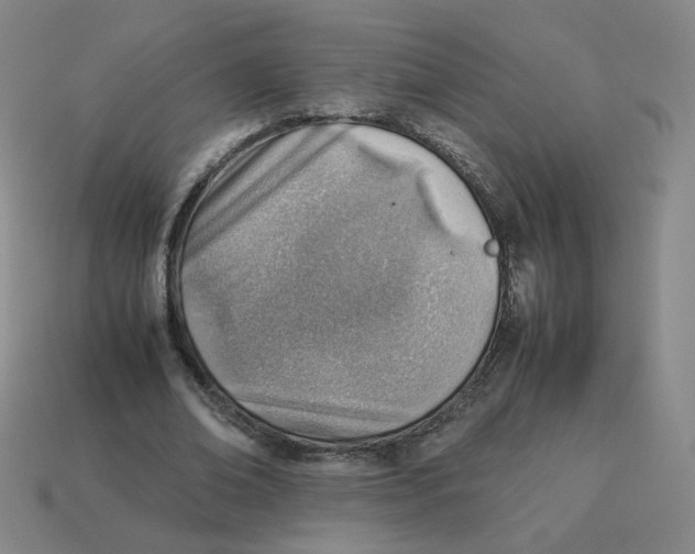 X0000114220678200911061507