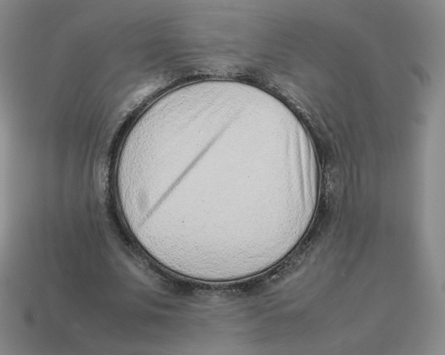 X0000114220679200911061507