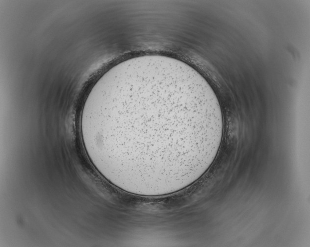 X0000114220680200911061507