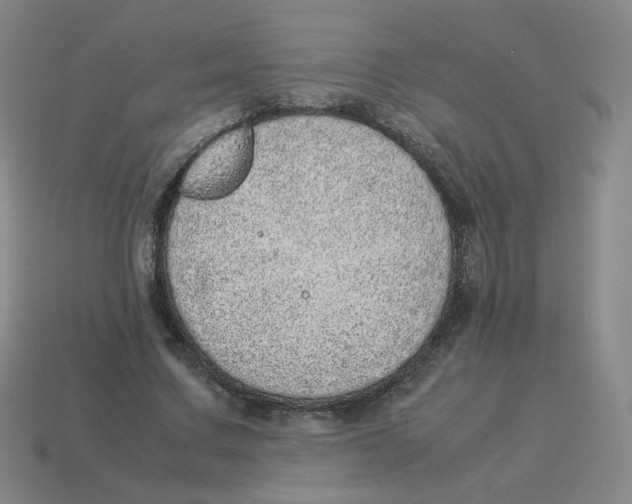 X0000114220683200911061507