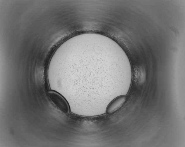 X0000114220684200911061507