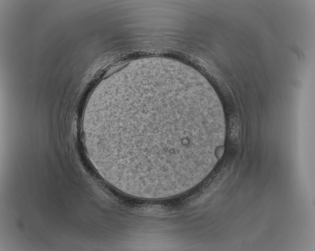 X0000114220685200911061507