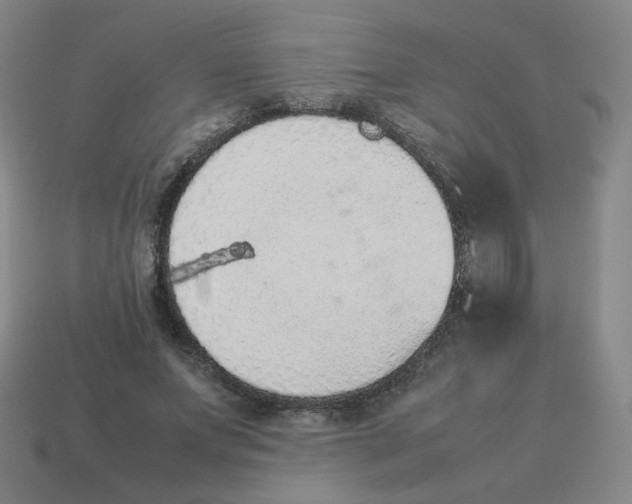 X0000114220687200911061507