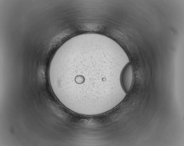 X0000114220688200911061507