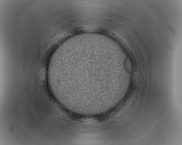 X0000114220689200911061507