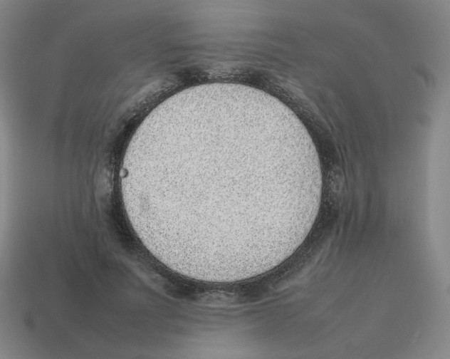 X0000114220691200911061507