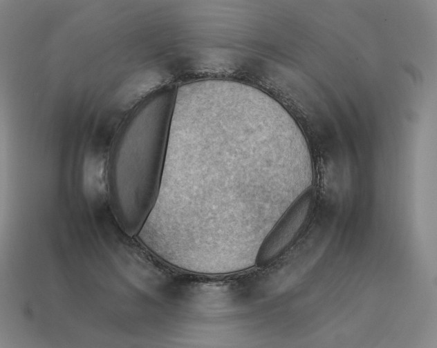 X0000114220692200911061507