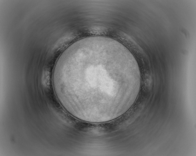 X0000114220696200911061507