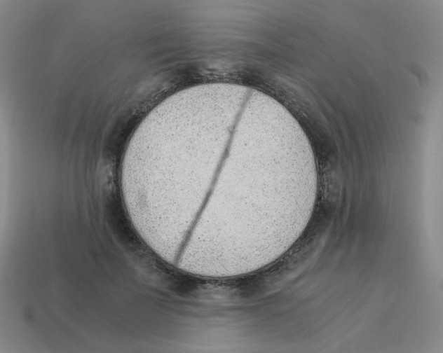 X0000114220699200911061507