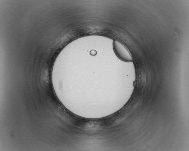 X0000114220700200911061507