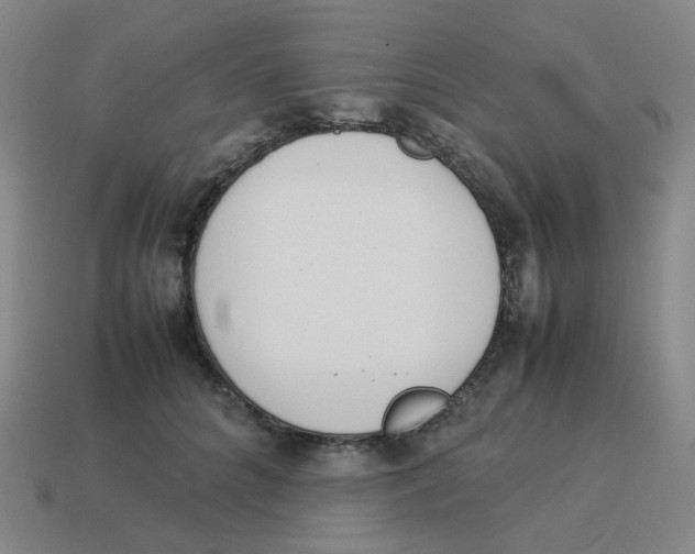 X0000114220704200911061507