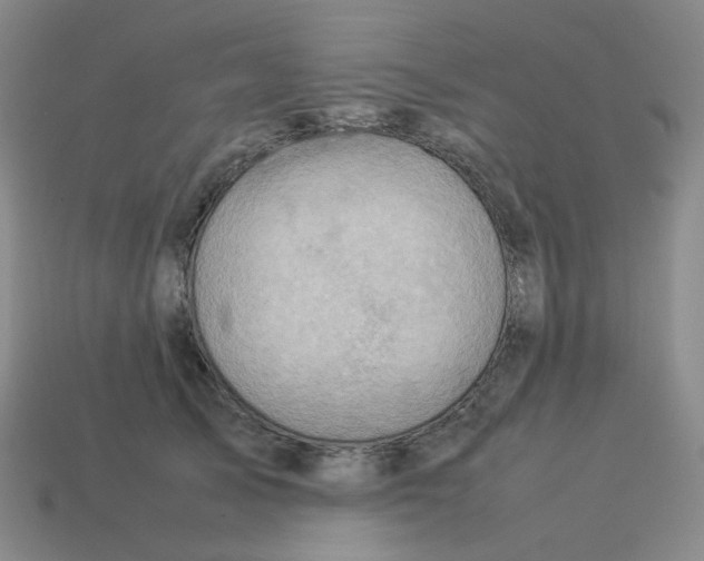 X0000114220705200911061507