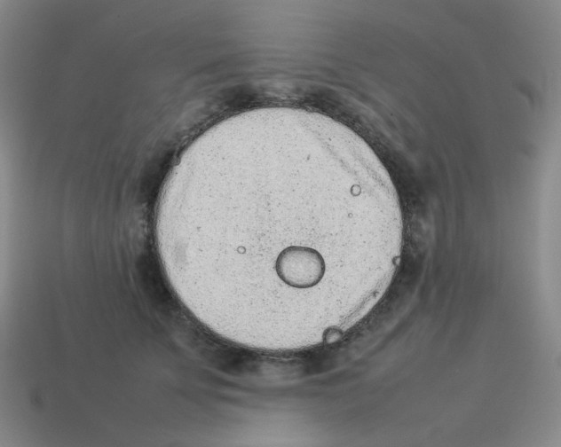 X0000114220707200911061507