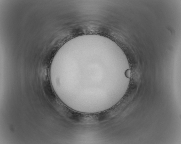 X0000114220709200911061507