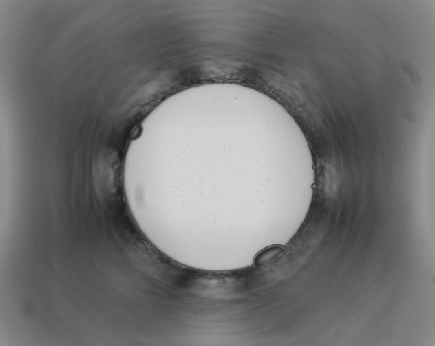 X0000114220712200911061507