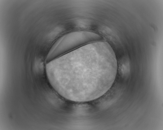 X0000114220716200911061507