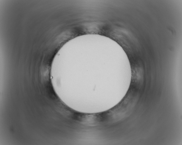 X0000114220717200911061507