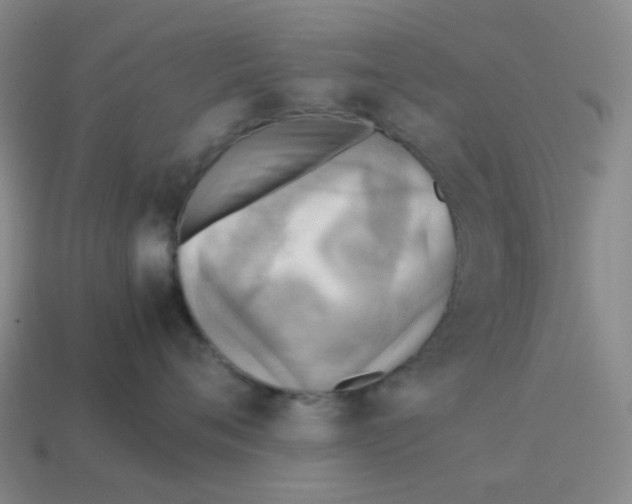 X0000114220720200911061507