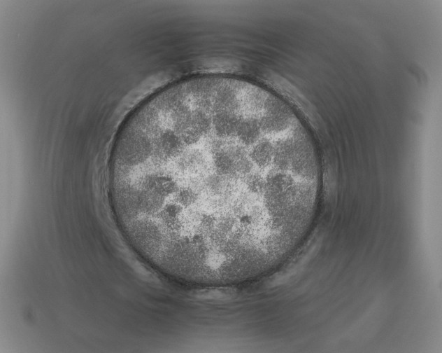 X0000114220721200911061506