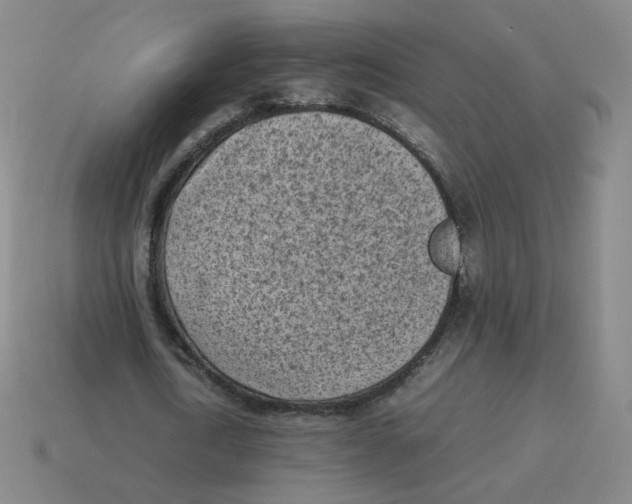 X0000114220722200911061506