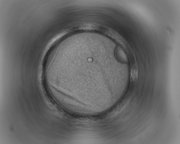 X0000114220724200911061506