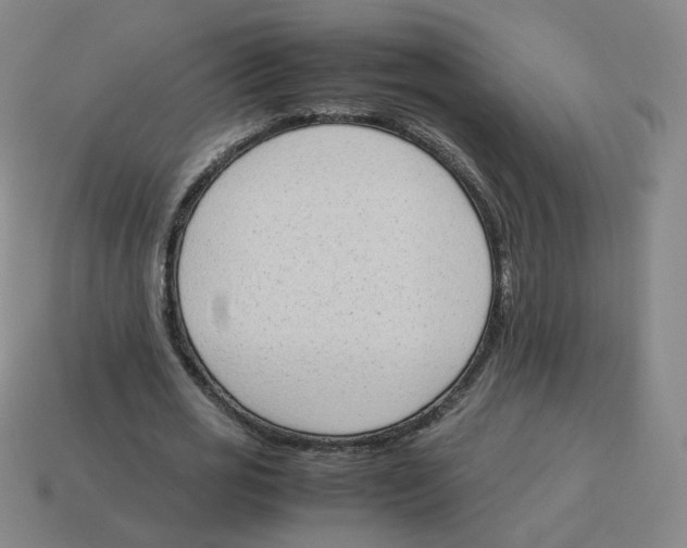 X0000114220725200911061506