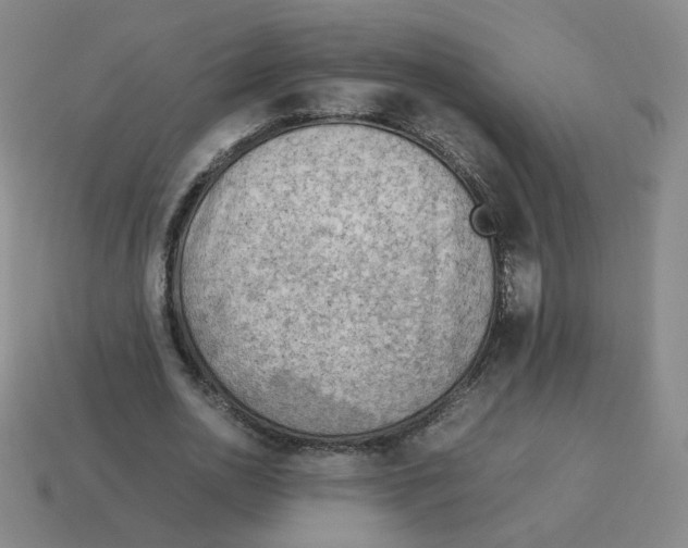 X0000114220726200911061506