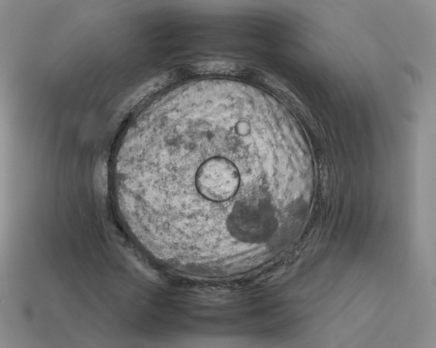 X0000114220729200911061506