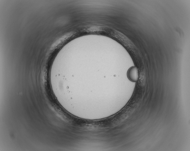 X0000114220732200911061506