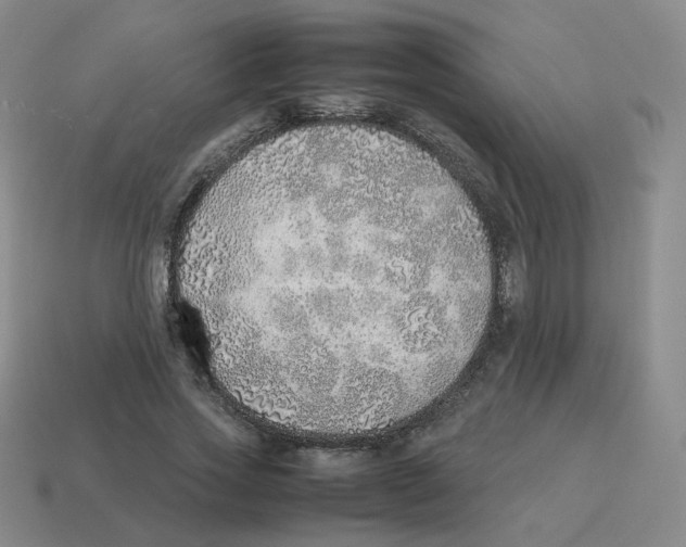 X0000114220733200911061506