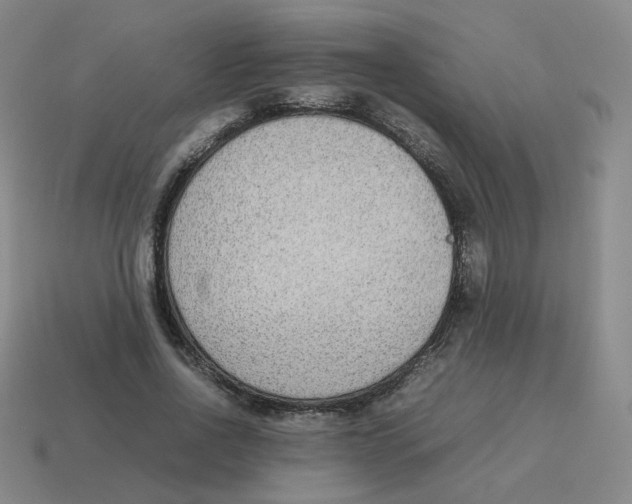 X0000114220734200911061506