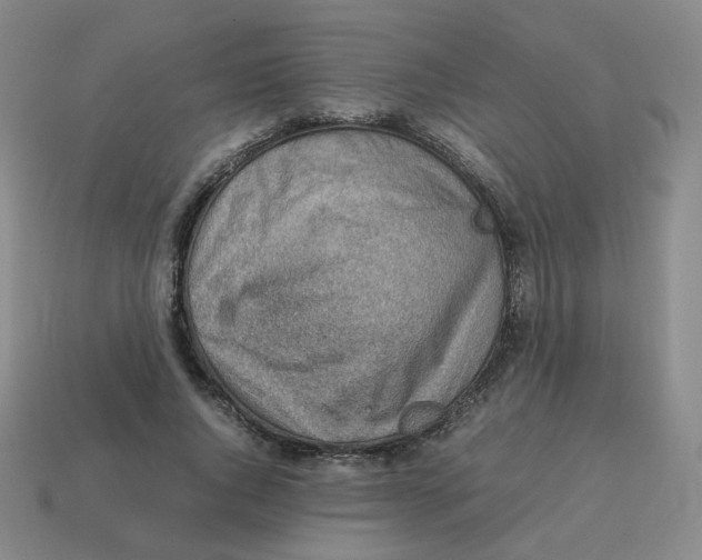 X0000114220736200911061506