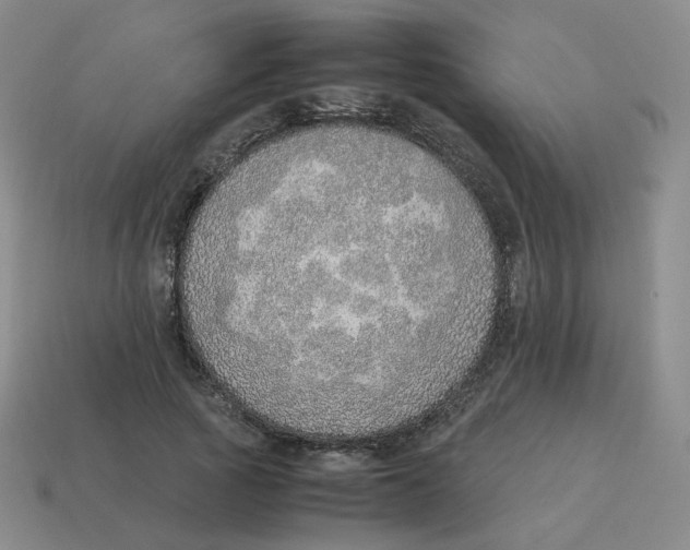 X0000114220737200911061506