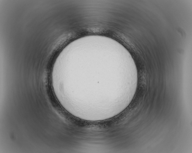 X0000114220738200911061506