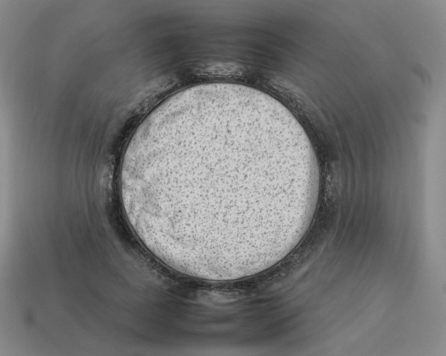 X0000114220739200911061506