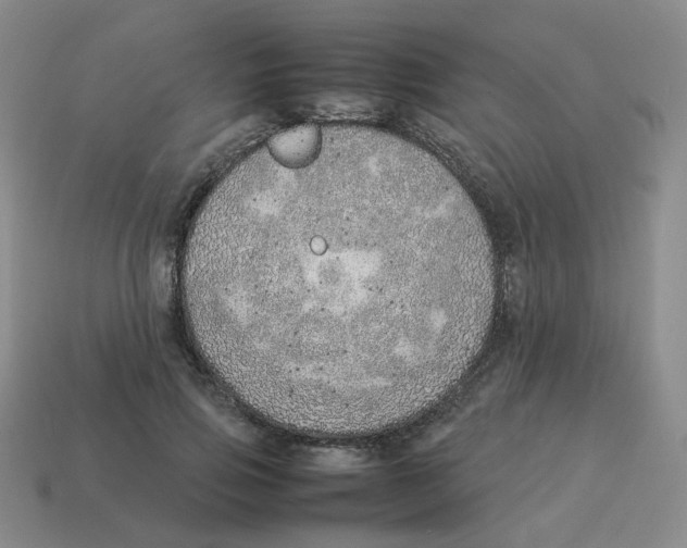 X0000114220741200911061506