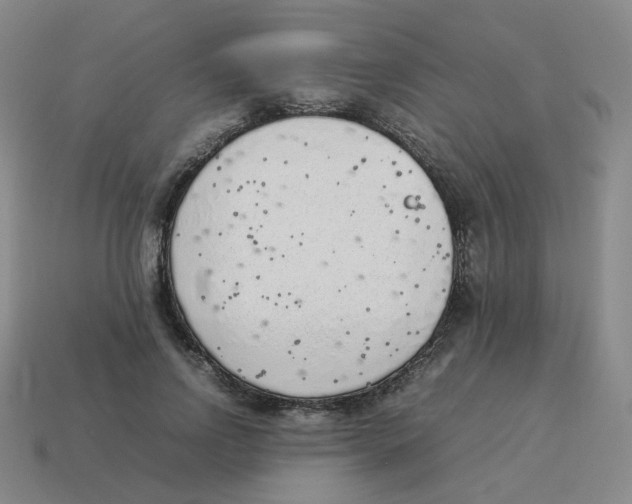 X0000114220742200911061506