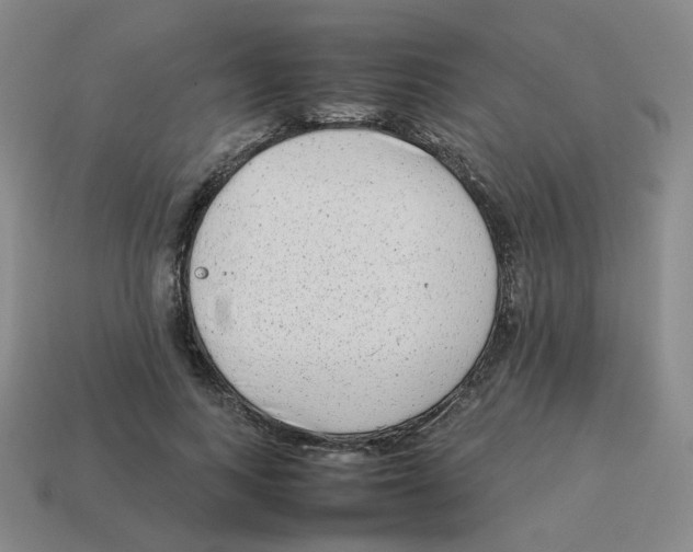 X0000114220743200911061506